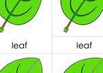 3PC Leaf Parts pdf icon.jpg