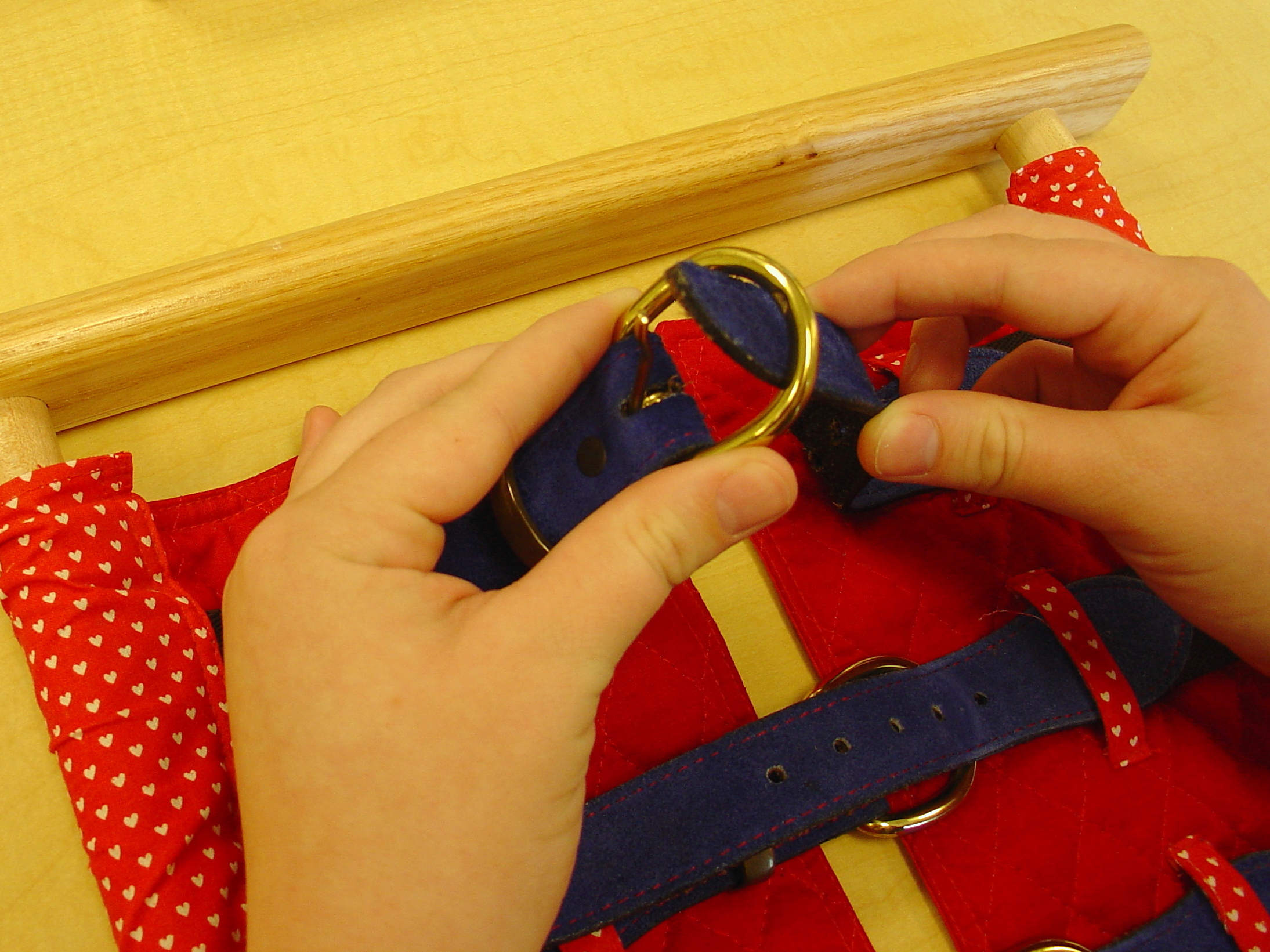 FileBuckle Frame 9.JPG Montessori Album