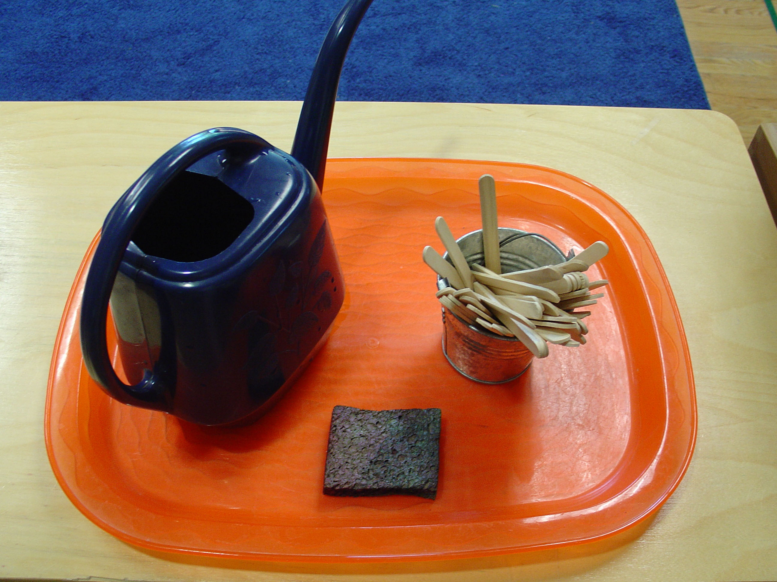 FileWatering Plants.jpg Montessori Album