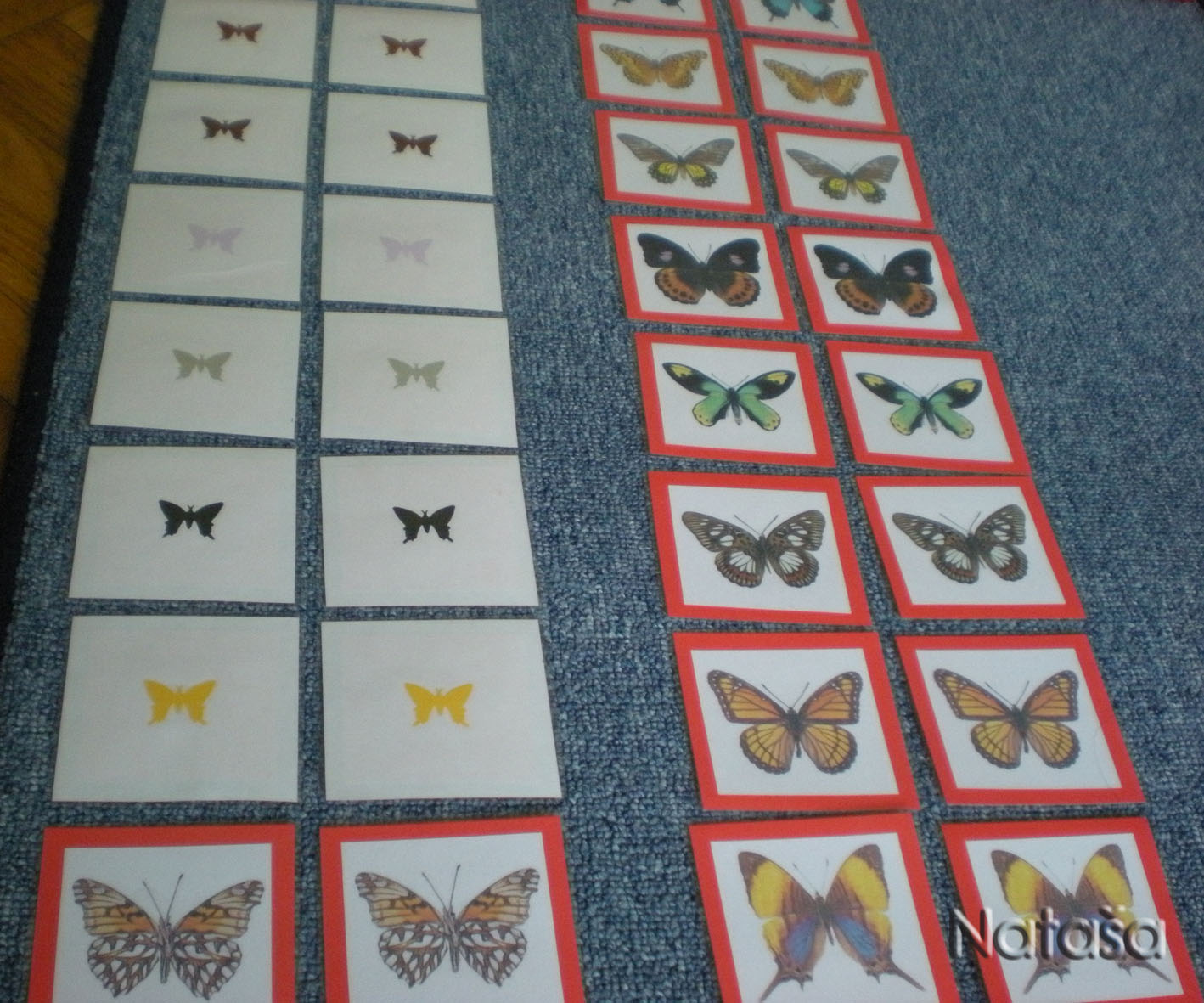 File:Butterfly picture.jpg - Montessori Album