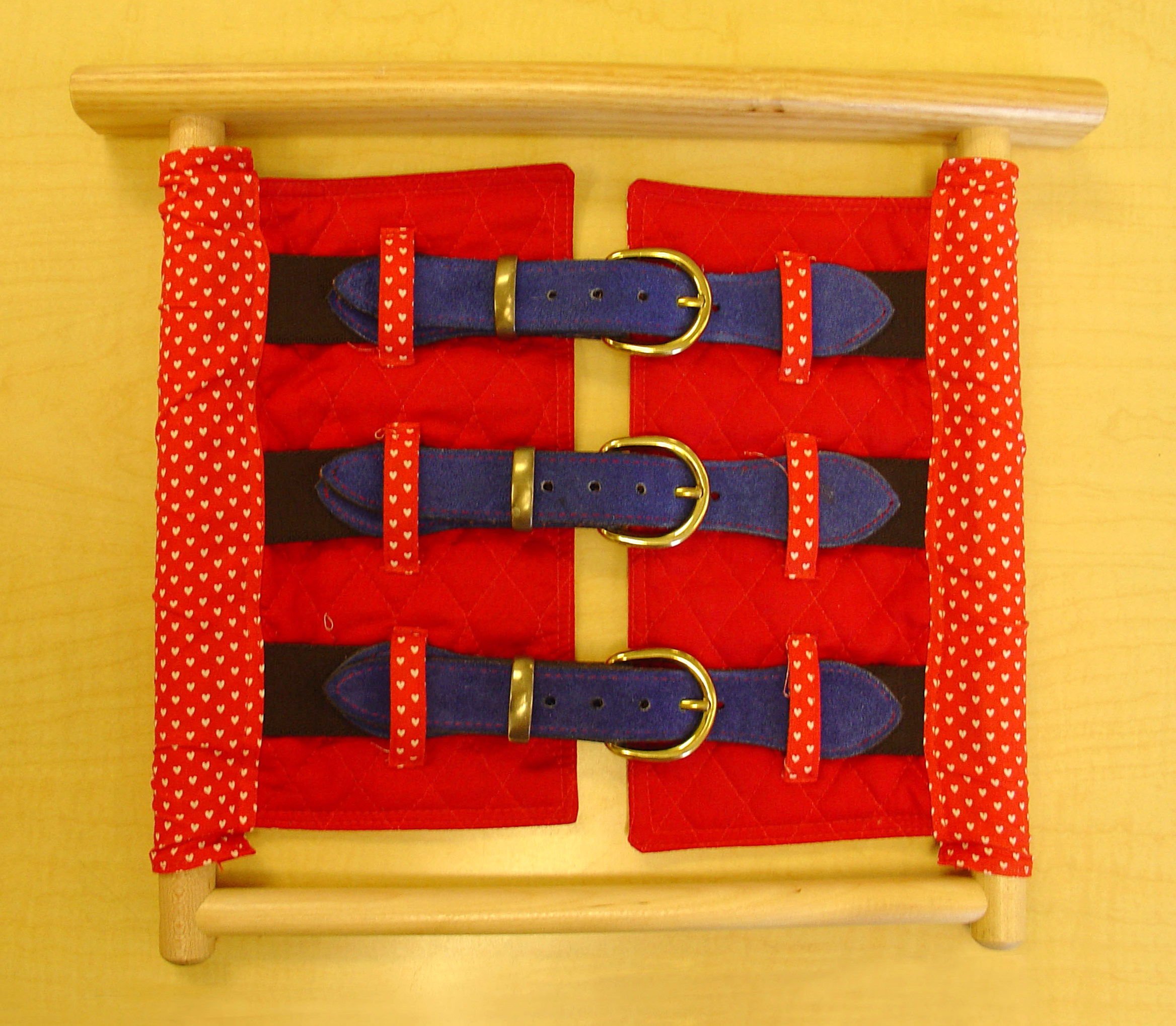 FileBuckle Frame 1.JPG Montessori Album