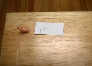 Pigs 2.JPG