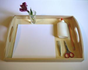 File:Flower Dissection Tray.JPG