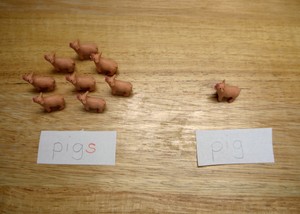 Pigs 5.JPG