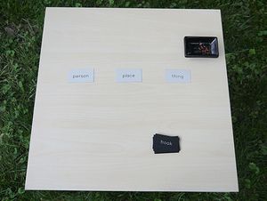 Person Place Thing 3.jpg