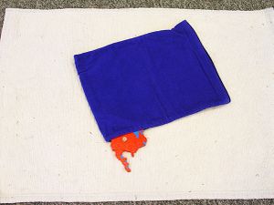 Continents in Mystery Bag.jpg