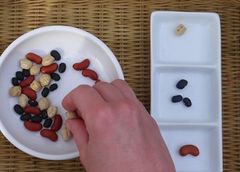 Sensorial - Montessori Album