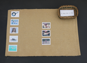 Sentence Picture 2 sm.png