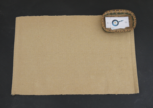 Sentence Picture 1 sm.png