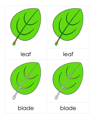 3PC Leaf Parts.pdf