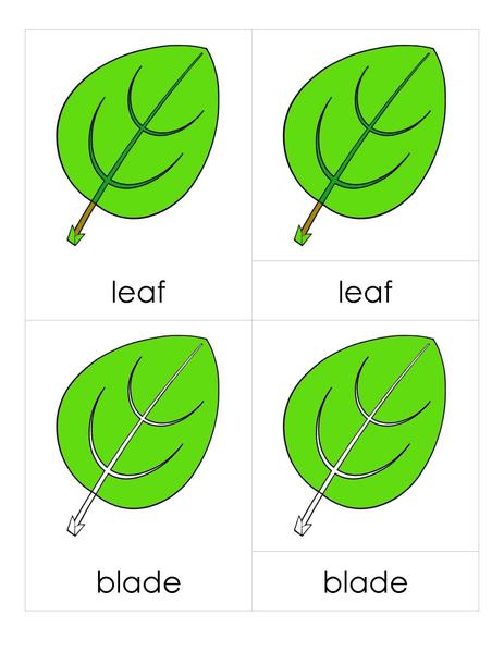 File:3PC Leaf Parts.pdf