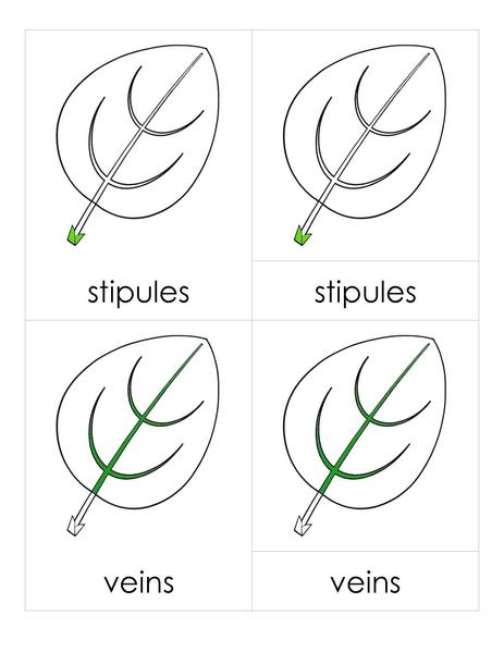 File:3PC Leaf Parts.pdf
