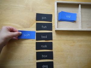 Logical Adjective Game 4.JPG