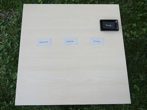 Person Place Thing 2.jpg