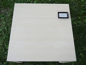 Person Place Thing 1.jpg