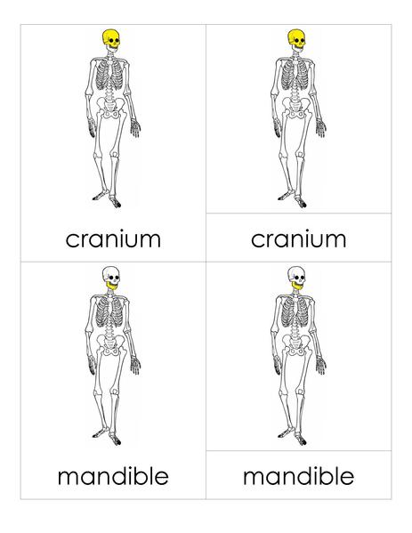 File:3PC Skeleton.pdf