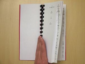 Phonogram Dictionary 3.JPG