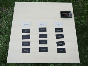 Person Place Thing 5.jpg